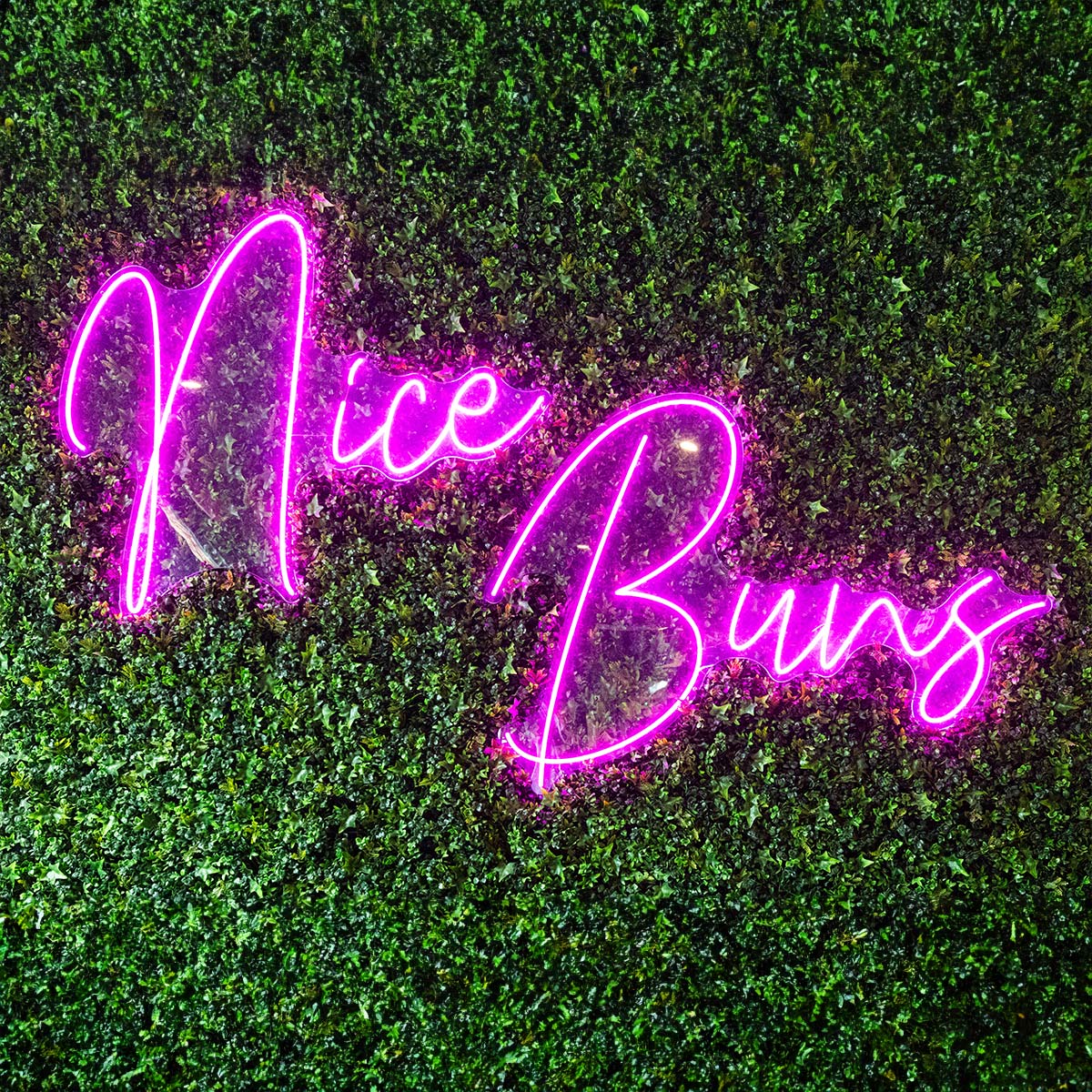 nice-buns-burger-boys